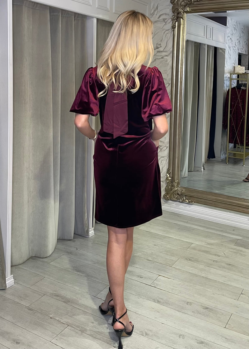 "Oakley" Dress In Burgundy Velvet